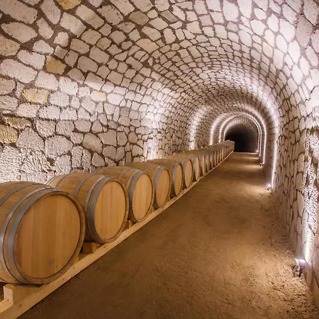 Hotel Chateau Grand Bari *