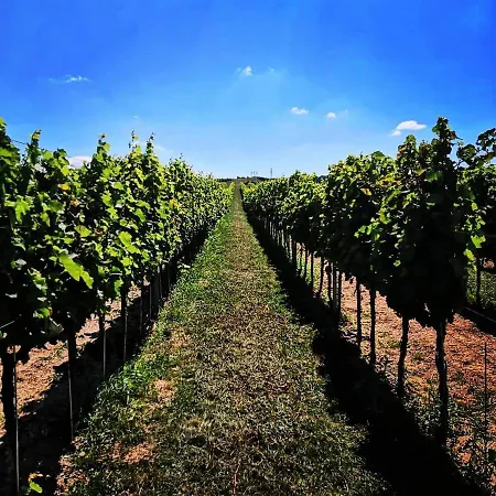 Chateau Grand Bari Bara