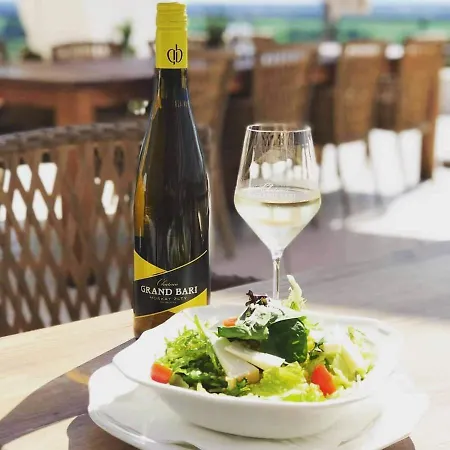 Chateau Grand Bari *