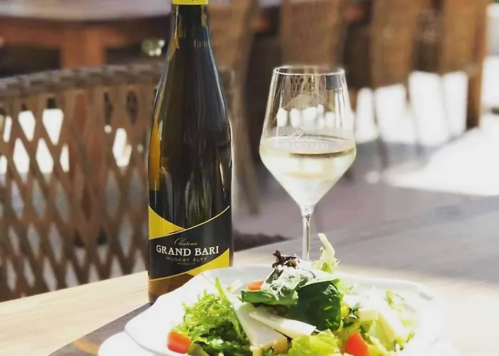 Chateau Grand Bari *